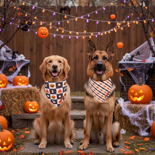 Halloween Dog Bandanas (X-Large / Halloween Checker)