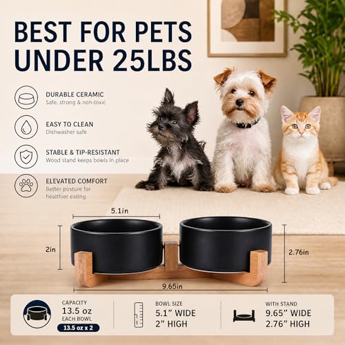 Ceramic Dog Cat Bowls Set with Stand (Black / 400ML*2)