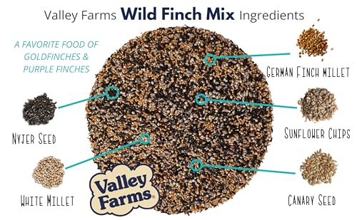 Wild Finch Mix