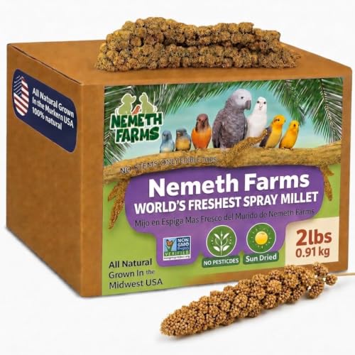 Spray Millet Edible Tops Only (2 Pound (Pack of 1))