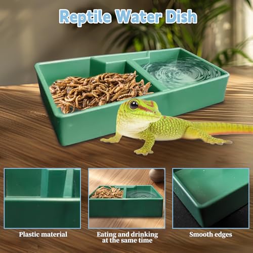 Reptile Feeding Box 6 PCS Snake Breeding Box Lizard Cricket Cage Habitat Hatching Container Transparent Portable Critter Keeper for Spider Scorpion Gecko Tortoise Treefrog