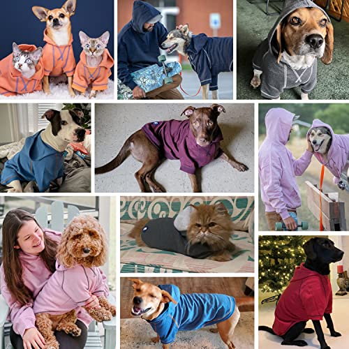 Essentials Hoodie (26 inch (Pack of 1) / Dog Hoodie - Alaskan Blue)