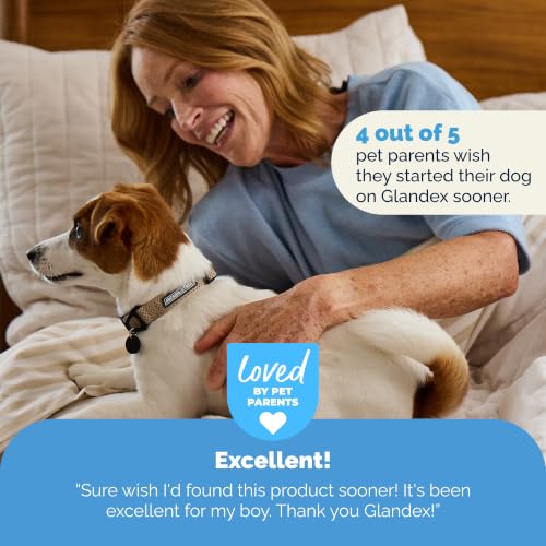 Glandex Advanced Strength Anal Gland Chews for Dogs (120ct)
