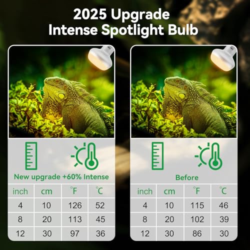 Intense Heat Lamp Bulbs for Reptiles 100W 2 Pack (Natural Basking Light Bulb / 100 Watts)