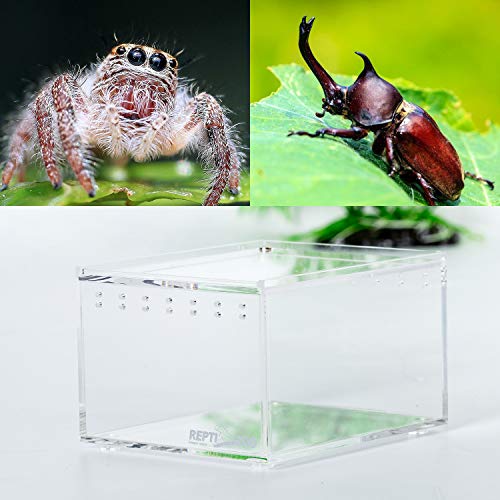 Magnetic Acrylic Case 4.1"x3.3"x2.5" Nano Enclosure Reptile Breeding Box Terrarium Cage Tank Tarantula Scorpion Sling Isopods Lizards Roach Invertebrates Insect Mantis