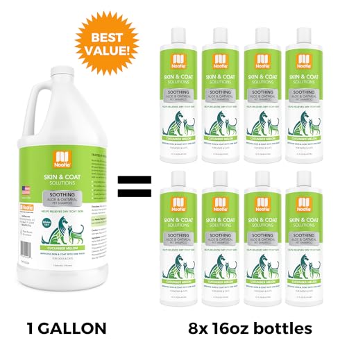 Cucumber Melon Pet Shampoo for Dogs & Cats (Cucumber Melon Shampoo / 1 Gallon)
