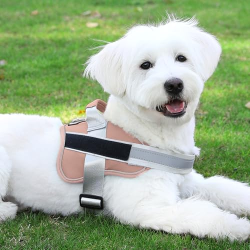 Dog Harness No (X-Small (Pack of 1) / RosePink)