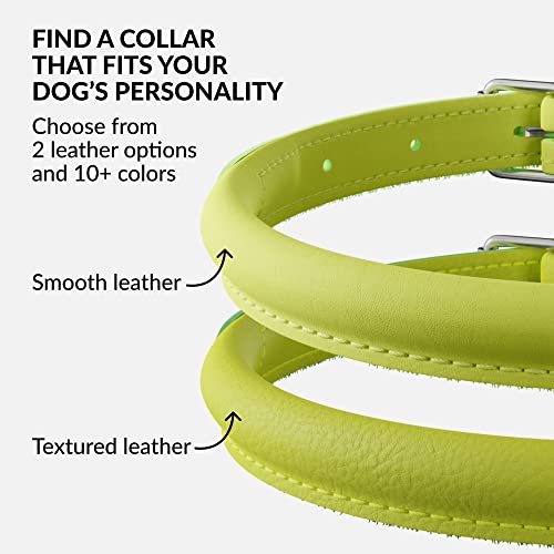 Tangle Free Rolled Leather Dog Collar (Lime Green / XL)
