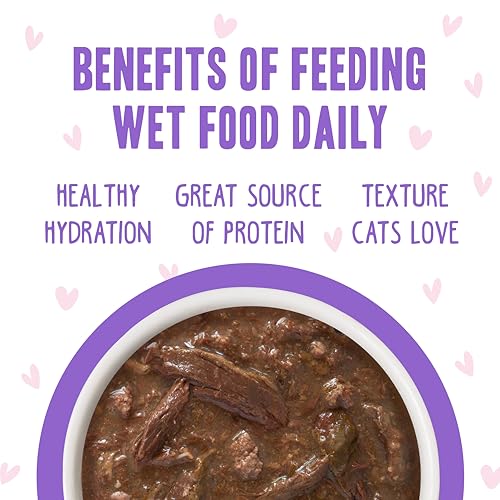 B.F.OMG Best Feline Friend Oh My Gravy! (3 Ounce (Pack of 12))