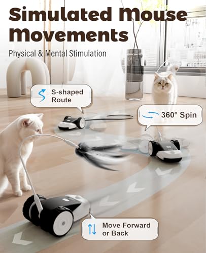3-in-1 Interactive Cat Toy - 2-Speed Automatic Moving Mouse Cat Toys Self Play with 2pcs Hanging Feather String Ribbon and Wiggly Silicone Mice Tail for Bored Indoor Adult Cats Kittens (Black)