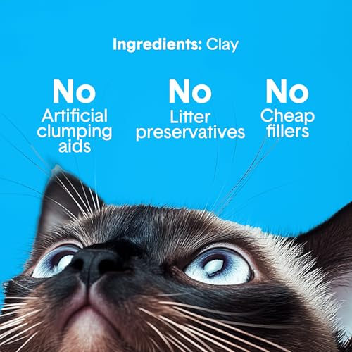 Boxie Premium Unscented Clumping Cat Litter 30+ Day Odor Control 28 lb (28 lb)