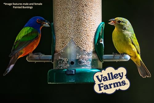White Millet Wild Bird Seed (20 Pound (Pack of 1))