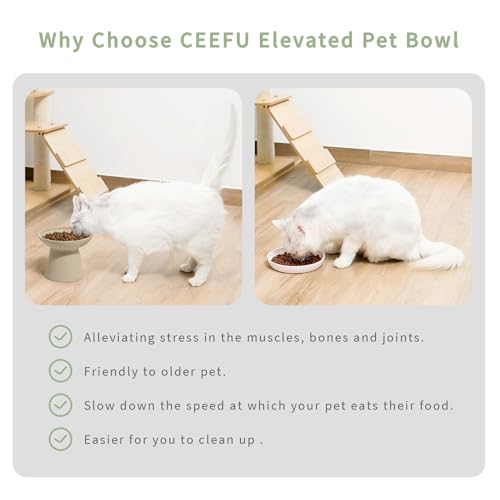 2 Pack Elevated Ceramic Cat Bowls Extra Wide for Food & Water (Pottery Clay)