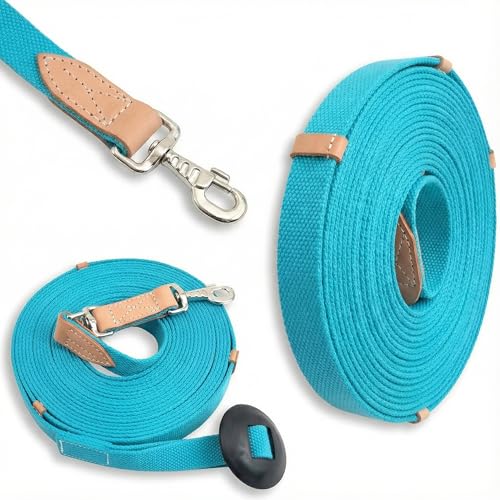 35' Flat Cotton Web Lunge Line with Bolt Snap & Rubber Stop (Turquoise / 35')