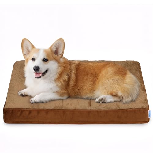 Waterproof Dog Bed for Medium Dog (Khaki / 30"L x 20"W x 3"H)