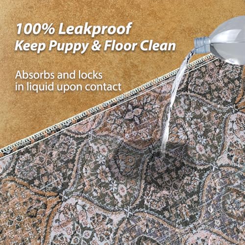 Washable Pee Pads for Dogs (18x24 Inch (Pack of 2) / Brown/Multi)