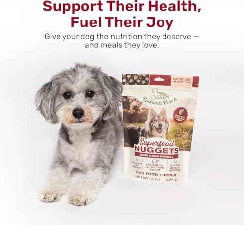 Superfood Nuggets (8 Ounce (Pack of 1))