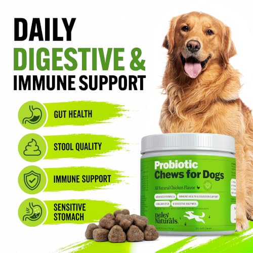 Dog Probiotic Chews (Probiotics - 120 Soft Chews)