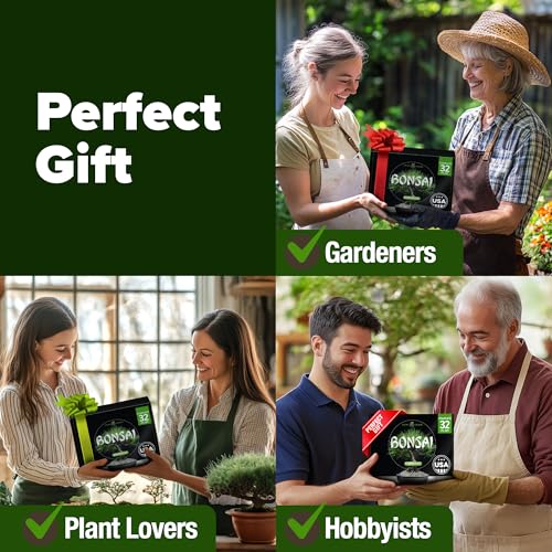 Bonsai Tree Starter Kit