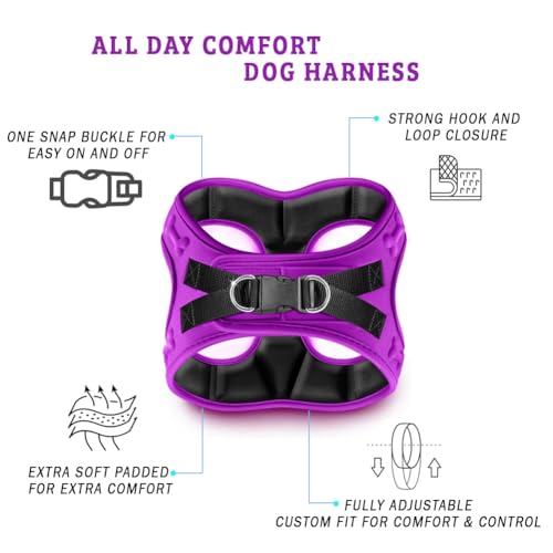 Comfort Fit No Pull Dog Harness (L (Chest 18.5"-21") / Purple)