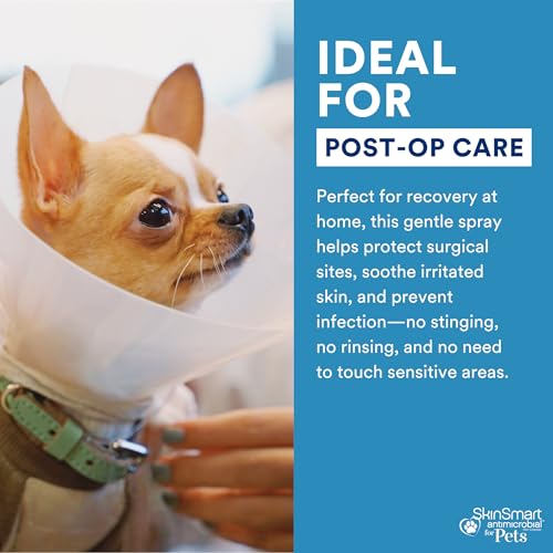 Wound Care for Pets