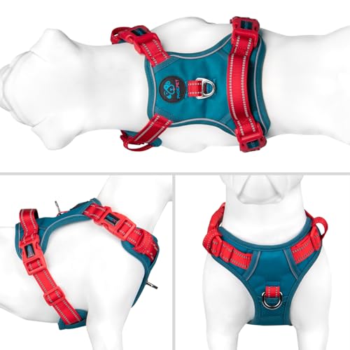 No Pull Dog Harness (Teal Base & Red Straps / Large)