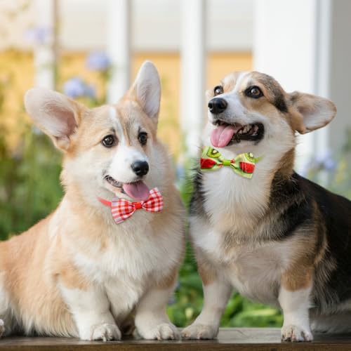 50 Pcs Fruit Print Dog Bow Ties