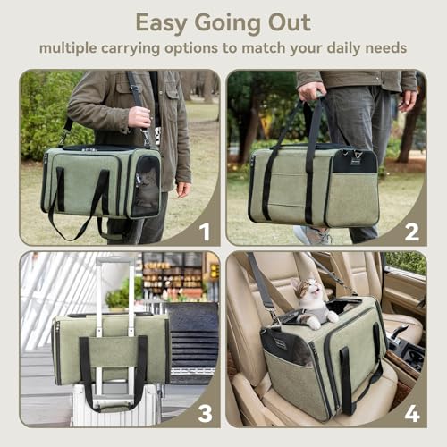 Small Expandable Cat Carrier for Air Travel (16.0"L x 10.0"W x 9.0"H / Green)