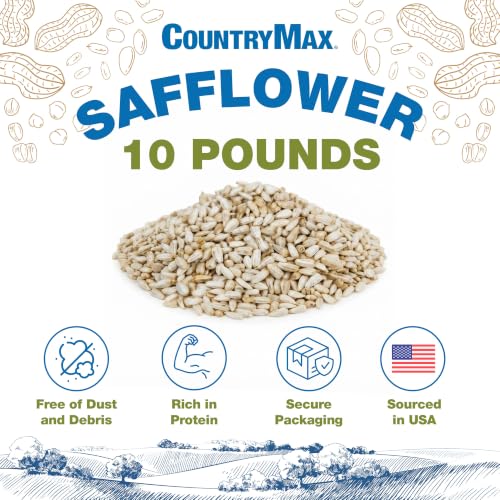 10LB Safflower Bird Seeds for Outside Feeders (Safflower / 10 Pound (Pack of 1))