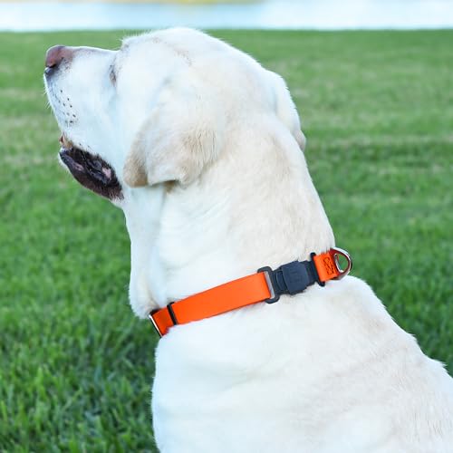 Biothane Waterproof Dog Collar with Herm Sprenger Stainless Steel Quick Release Buckle (W 1" x L 15"-25" / Hunter Orange)