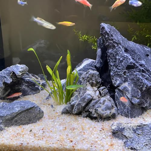5 lbs Aquarium Sand (Beige / 5 LB)