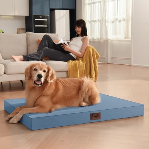 Outdoor Extra Large Dog Bed XXL for Giant Breed Dogs (Blue / 47.0"L x 29.0"W x 3.5"Th)