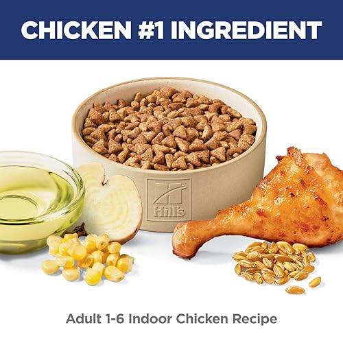 Adult 1 6 Indoor Dry Cat Food (15.5 Pound (Pack of 1))