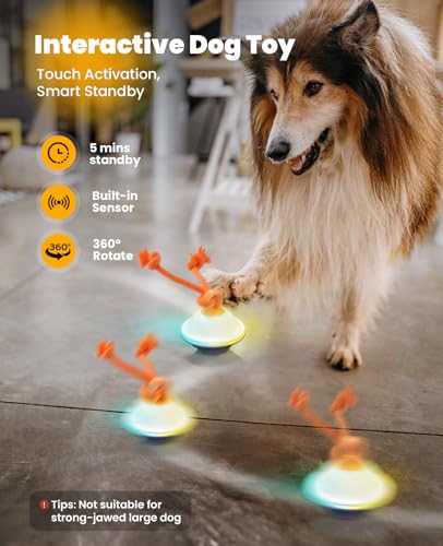 Smart Interactive Dog Toys (White)