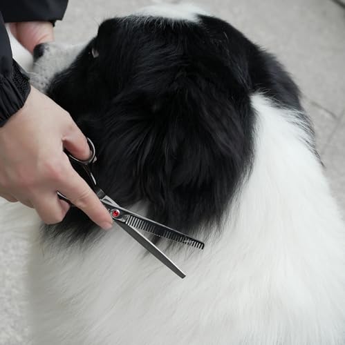 Dog Grooming Scissors Kit