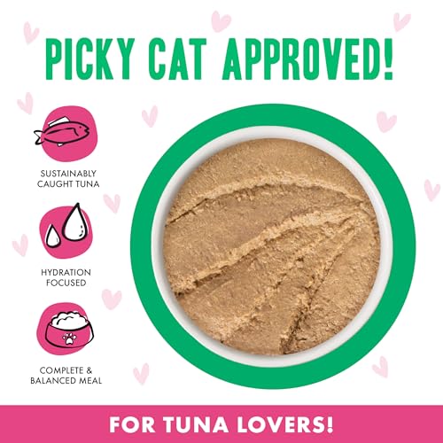 B.F.F. Play Best Feline Friend Paté Lovers (2.8 Ounce (Pack of 12))