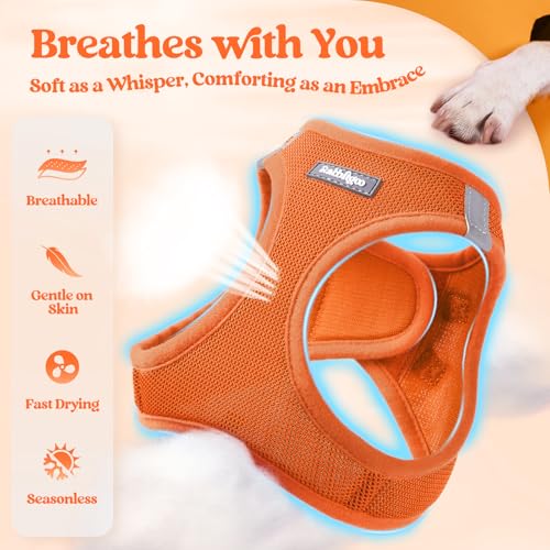 Dog Harness Medium Sized and Leash Set (Orange / Xxl (chest: 21.6 - 23.7"))