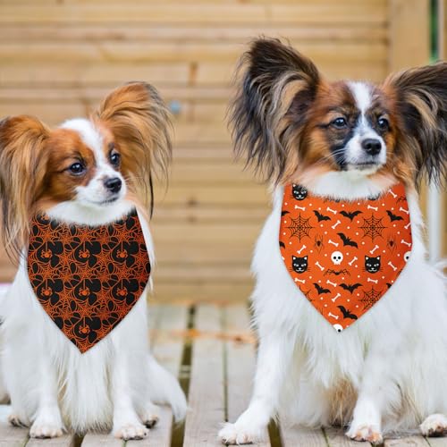 Halloween Bandanas for Dogs 2 Pack Thanksgiving Halloween Holiday Pumpkins Ghosts Spider Web Fall Dog Bandanas Pet Scarf Accessories for Small Medium Dogs & Cats (C)