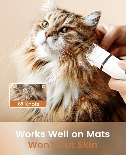 Cat Grooming Kit