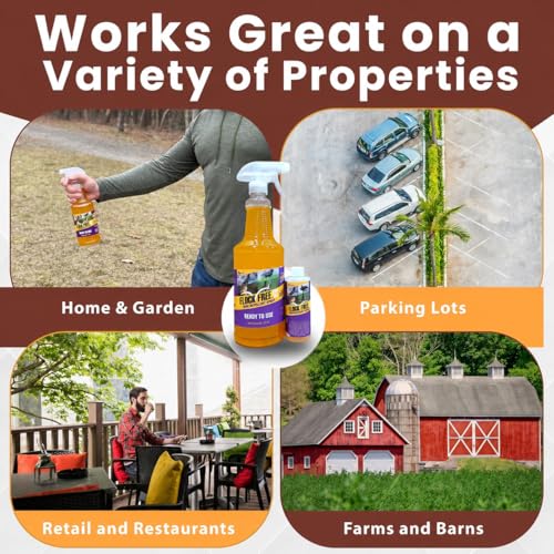 Bird Repellent Bundle