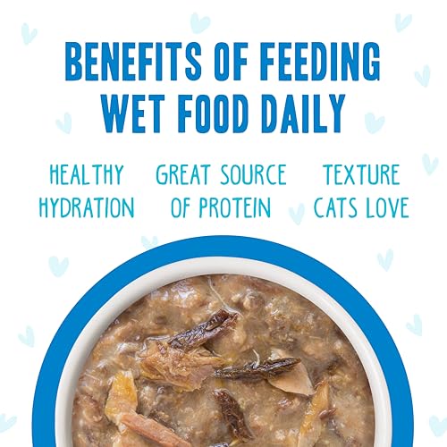 B.F.F. OMG Best Feline Friend Oh My Gravy! (2.8 Ounce (Pack of 12))