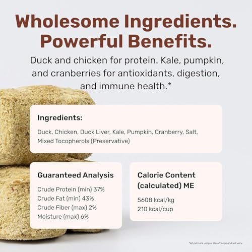 Superfood Nuggets (8 Ounce (Pack of 1))