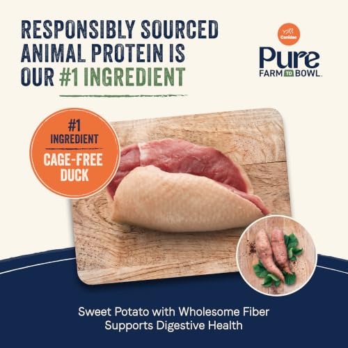 Pure Farm to Bowl (22 Pound (Pack of 1))