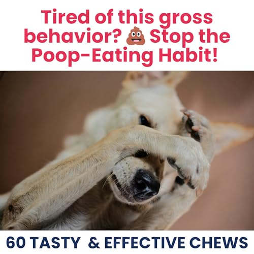 Pet No Poo Chews for Dogs