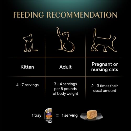 Perfect Portions Pate Wet Cat Food (12 Count (Pack of 2))