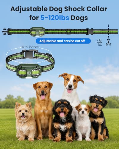 Shock Collar for 3 Dogs (for 3 dogs (D8 Green))