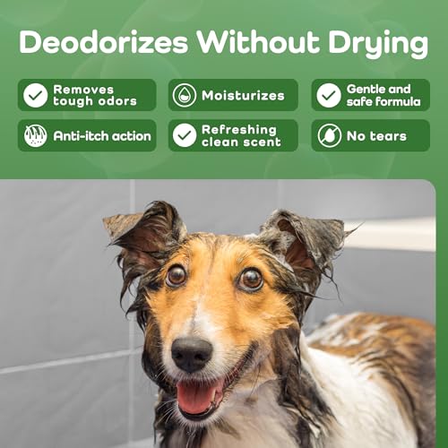 Sensitive Care (Border Collie / 16 Fluid Ounces)