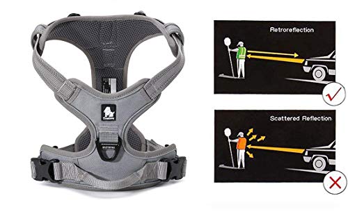 Truelove No Pull Dog Harness with Easy Control Handle and 2 Leash Attachments (Small / Gray)