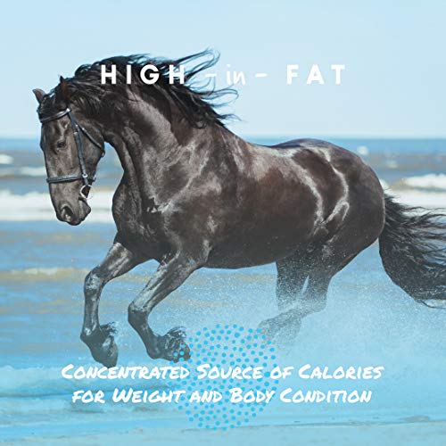 Cool Calories 100 Horse Supplement