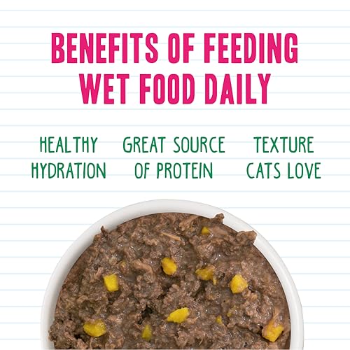 BFF Minced Natural Wet Cat Food (5.5 Ounce (Pack of 24))